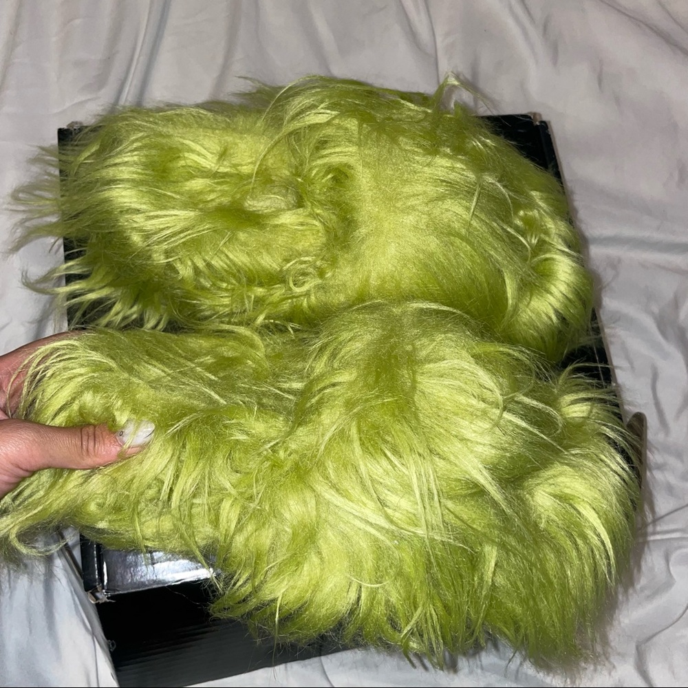 CASE OF THE GRUMPIES FUR SLIDES